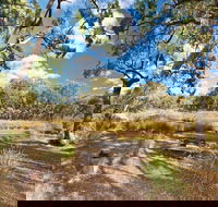 Kings Plains Creek campground - Coogee Beach Accommodation