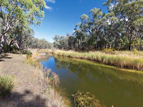 Kings Plains Creek Campground - Coogee Beach Accommodation 1