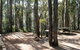 Perth Hills Centre Campground At Beelu National Park - thumb 0
