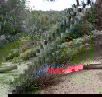 Platypus Flat campground - Coogee Beach Accommodation