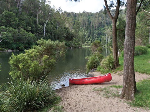 Platypus Flat Campground - Coogee Beach Accommodation 0