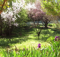 Sofala Cottage - Coogee Beach Accommodation