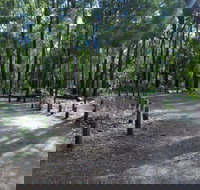 Stringers Camp at Lane Poole Reserve - Coogee Beach Accommodation