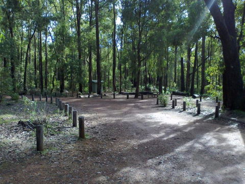 Stringers Camp At Lane Poole Reserve - Coogee Beach Accommodation 0