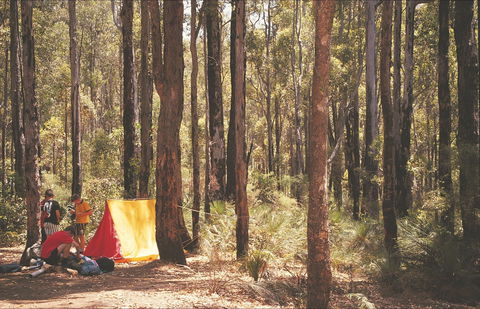 Stringers Camp At Lane Poole Reserve - Coogee Beach Accommodation 1