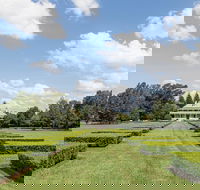 Terrara House - Coogee Beach Accommodation