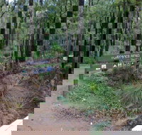 Tonys Bend Campground at Lane Poole Reserve - Coogee Beach Accommodation