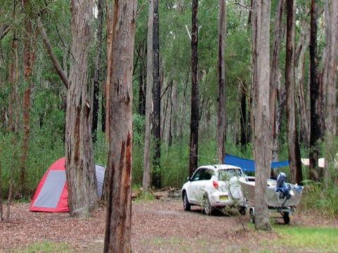 Wallingat River Campground - Coogee Beach Accommodation 0