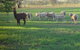 Wallinga Studio Farmstay - thumb 0