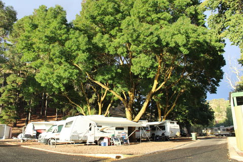 Williamstown Queen Victoria Jubilee Park - Coogee Beach Accommodation 0