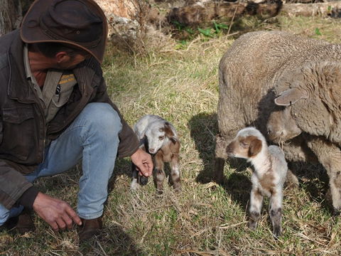 Willowbrook Farm Caravan Park - Coogee Beach Accommodation 1