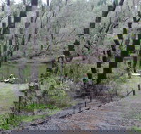 Yarragil Camp at  Lane Poole Reserve - Coogee Beach Accommodation