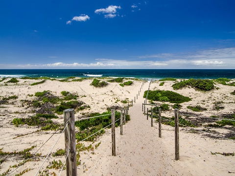 Banksia Green Campground - Coogee Beach Accommodation 2