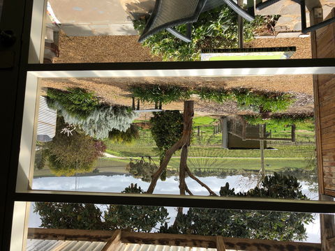 Bed In A Shed Unique Vineyard Accommodation - Coogee Beach Accommodation 0