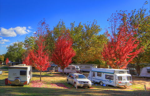 Beechworth Lake Sambell Caravan Park - Coogee Beach Accommodation 0