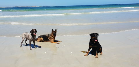 BIG4 Warrnambool Figtree Holiday Park - Coogee Beach Accommodation 2