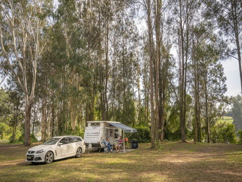 Cattai Campground - Coogee Beach Accommodation 1