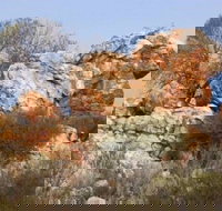 Credo Homestead Camp at Credo Conservation Park - Coogee Beach Accommodation