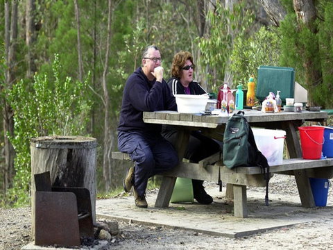 Cypress-pine Campground - Coogee Beach Accommodation 0