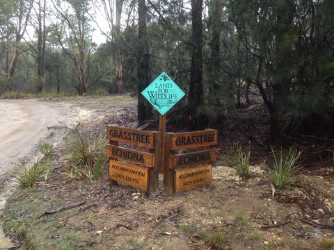 Echidna On Bruny - Coogee Beach Accommodation 1