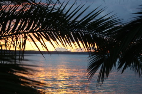 Edgewater Gardens - Coogee Beach Accommodation 2