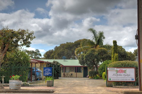 Ficifolia Lodge Kangaroo Island - Coogee Beach Accommodation 1