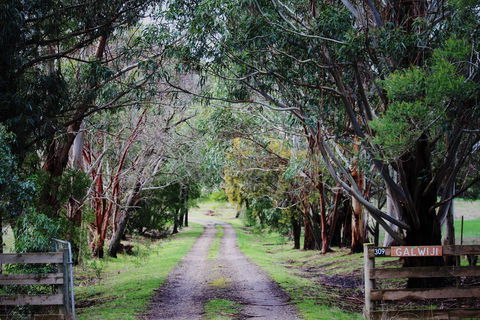 Galwiji Homestead - Coogee Beach Accommodation 1