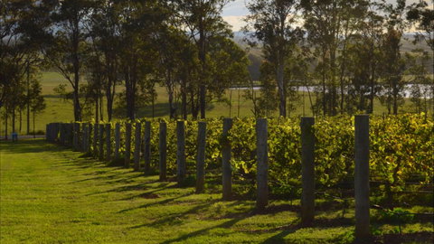 H Boutique Hotel - Coogee Beach Accommodation 0