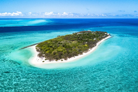 Heron Island Resort - Coogee Beach Accommodation 0