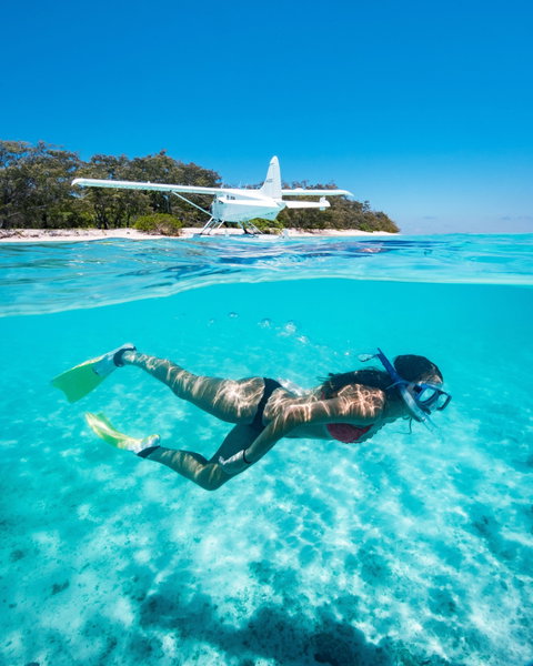 Heron Island Resort - Coogee Beach Accommodation 1