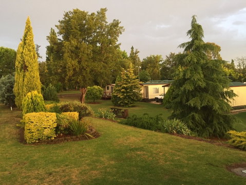 Inverell Caravan Park - Coogee Beach Accommodation 0