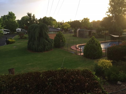 Inverell Caravan Park - Coogee Beach Accommodation 2