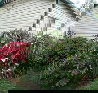 Jenolan Caravan Park - Coogee Beach Accommodation