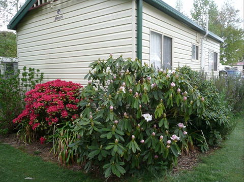 Jenolan Caravan Park - Coogee Beach Accommodation 0