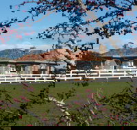 Little Sunnyside Accommodation - Coogee Beach Accommodation