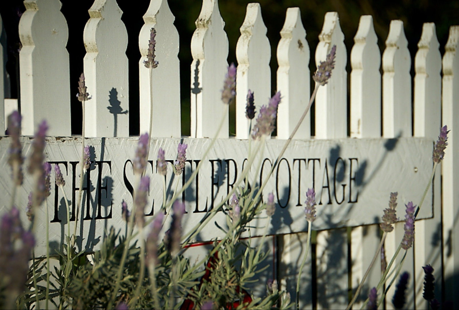 Spring Creek NSW Coogee Beach Accommodation