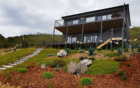 New Norfolk Apartments - Coogee Beach Accommodation 2