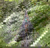 Rosebery Cabin and Tourist Park - Coogee Beach Accommodation