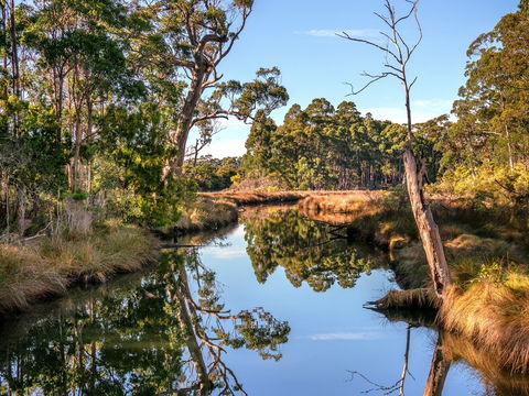Saintys Creek Cottage - Coogee Beach Accommodation 1