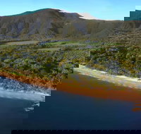 Thala Beach Nature Reserve - Coogee Beach Accommodation