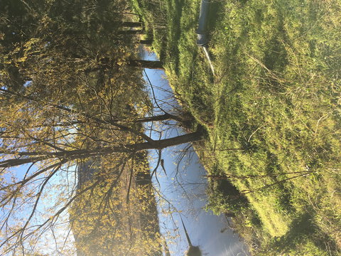 The Old Dairy At Baerami - Coogee Beach Accommodation 1