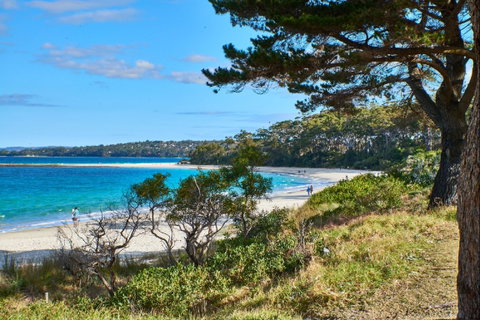 The Beach Jervis Bay - Coogee Beach Accommodation 1