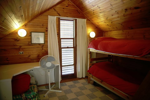 The Eco Lodge - Cox's River Rest - Coogee Beach Accommodation 2