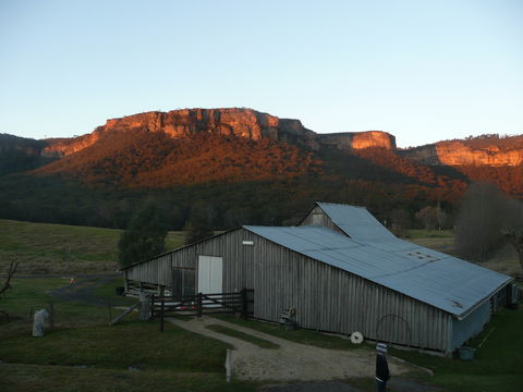 Woolshed Cabins - Coogee Beach Accommodation 2