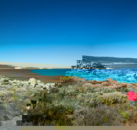 Wyadup Brook Cottages - Coogee Beach Accommodation