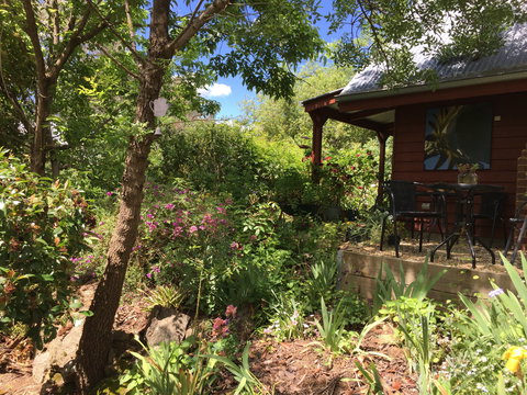 Artscape Cottage Beechworth - Coogee Beach Accommodation 2