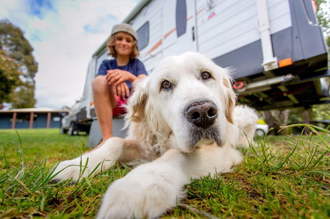 BIG4 St Helens Holiday Park - Coogee Beach Accommodation 2