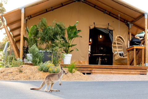 BIG4 Anglesea Holiday Park - Coogee Beach Accommodation 2