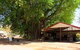 Bitter Springs Cabins And Camping - thumb 0