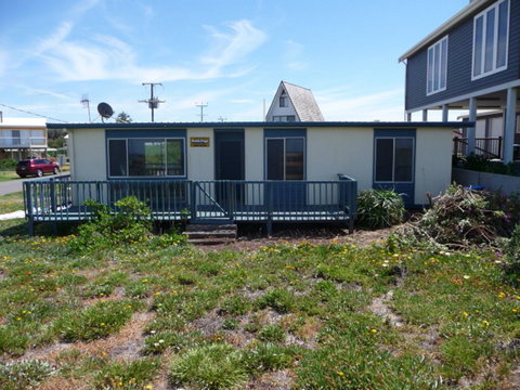 Driftwood - Coogee Beach Accommodation 0